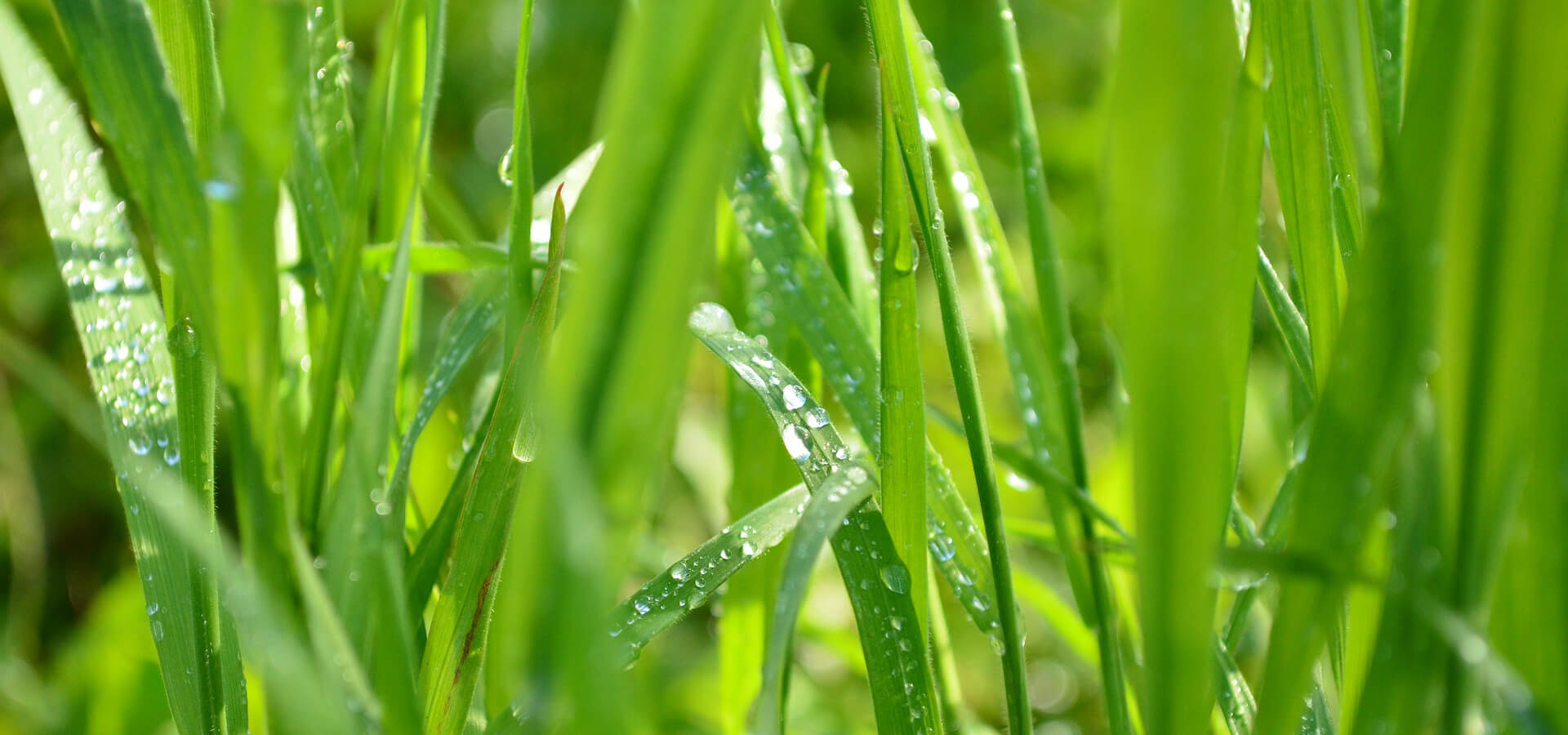 #slidecaption2 Support 24x7